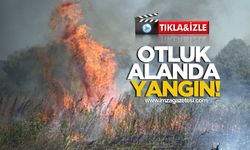 Otluk Alanda Yangın! 2 dönüm alan kül oldu!