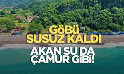 GÖBÜ SUSUZ KALDI, SULAR KESİK, AKAN SULAR DA ÇAMUR GİBİ