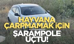 Hayvana çarpmamak için manevra yapan otomobil şarampole uçtu