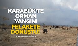 Karabük’te Orman Yangını 5. Gününde...19 Köy, 57 Mahalle Boşaltıldı!