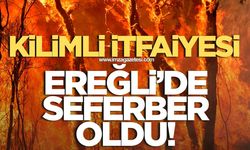 KİLİMLİ İTFAİYESİ, EREĞLİ'DEKİ ORMAN YANGININA MÜDAHALE İÇİN SEFERBER OLDU