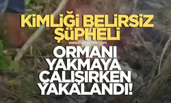 Kimliği belirsiz şüpheli Zonguldak'ta ormanı yakmaya çalışırken fark edildi