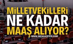 Milletvekili Maaşı Ne Kadar? Milletvekili maaşı 2025