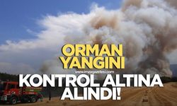Orman yangını kontrol altına alındı