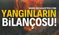 Orman Yangınları Bilançosu Açıklandı!