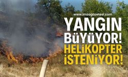 SON DAKİKA: Devrek'te Orman Yangını! Köylüler Kendi İmkanlarıyla Müdahale Ediyor, Helikopter İsteniyor