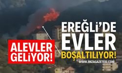 Son Dakika: Zonguldak Ereğli'de Alevler Evlere Yaklaştı!