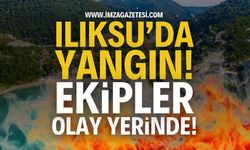 Son Dakika: Zonguldak Ilıksu'da Yangın!