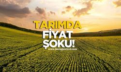 Tarımda Fiyat Şoku...Üretici Fiyatları Yıllık Yüzde 50 Arttı!