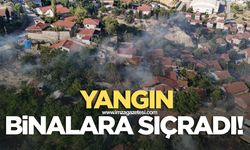 Yangın evlere sıçradı