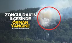 Zonguldak'ın ilçesinde orman yangını! Ekipler sevk edildi!