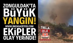 Zonguldak Eceler Köyü'nde Büyük Yangın! | Zonguldak haber