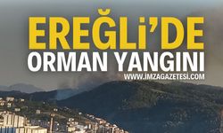 Zonguldak Ereğli Gülüç'te Orman Yangını!