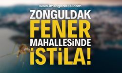 Zonguldak Fener Mahallesi İstila Altında | Zonguldak haber
