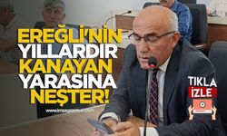 Ereğli'nin Yıllardır Kanayan Yarasına Neşter!