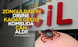 Kene kabusu Zonguldak'ın dibine kadar geldi! Komşuda can aldı!