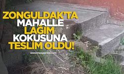 Zonguldak'ta Bir Mahalle Lağım Kokusuna Teslim Oldu! Vatandaşlar İsyan Etti