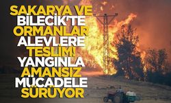 Sakarya ve Bilecik'te Ormanlar Alevlere Teslim! Yangınla Amansız Mücadele Sürüyor...