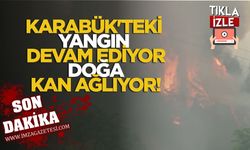 Karabük'teki Yangın Devam Ediyor, Doğa Kan Ağlıyor!