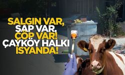 Salgın Var, Şap Var, Çöp Var! Çayköy Halkı İsyanda!