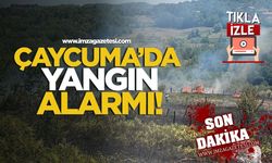 Son dakika! Çaycuma'da yangın alarmı!
