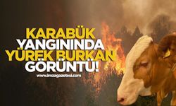 Karabük Yangınında Yürek Burkan Görüntü!