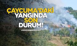 Çaycuma'daki yangında son durum!