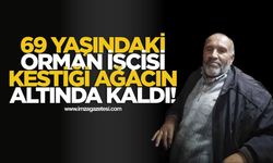 69 Yaşındaki Orman İşçisi Kestiği Ağacın Altında Kaldı!