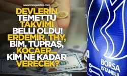 Devlerin Temettü Takvimi Belli Oldu! Erdemir, THY, BİM, Tüpraş, Kocaer... Kim Ne Kadar Verecek?