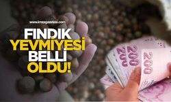 Fındık yevmiyesi belli oldu!