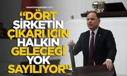 Deniz Yavuzyılmaz, “ Dört şirketin çıkarı için halkın geleceği yok sayılıyor”