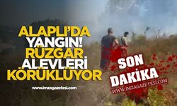 Alaplı’da yangın! Rüzgar alevleri körüklüyor