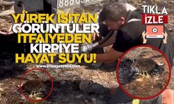 Yürek Isıtan Görüntüler... İtfaiyeden Kirpiye Hayat Suyu!