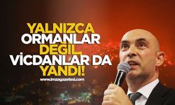 CHP Zonguldak İl Başkanı Devrim Dural’dan İktidara Yangın Tepkisi!