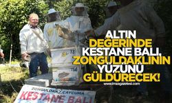 Altın değerinde kestane balı, Zonguldaklının yüzünü güldürecek!