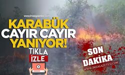 Karabük cayır cayır yanıyor!