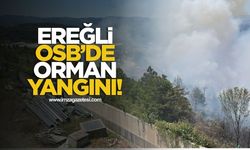 Ereğli OSB'de orman yangını!
