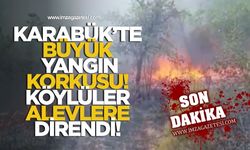 Karabük'te Büyük Yangın Korkusu! Köylüler Alevlere Direndi!