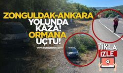 Zonguldak-Ankara Yolunda Kaza! Otomobil Ormanlık Alana Uçtu!