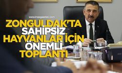 Zonguldak'ta Sahipsiz Hayvanlar İçin Önemli Toplantı...
