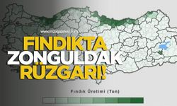 Fındıkta Zonguldak Rüzgarı!