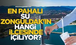 En pahalı su Zonguldak'ın hangi ilçesinde içiliyor?