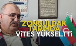 Zonguldak tarımda vites yükseltti