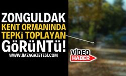 Zonguldak Kent Ormanında Tepki Toplayan Görüntü