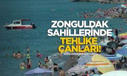 Zonguldak Sahillerinde Tehlike Çanları!