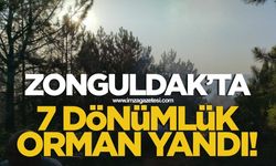 Zonguldak'ta 7 dönümlük orman yandı!