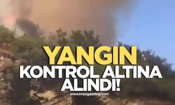 Zonguldak'ta çıkan anız yangını kontrol altına alındı