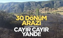 30 dönüm arazi cayır cayır yandı