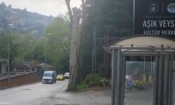 Zonguldak’ın kalbindeki ağaçlar kuruyor…