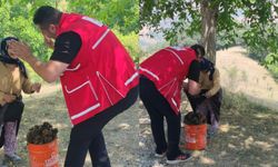 Niyet yangın bölgesine ulaşmaktı, nasip bir gönlü ısıtmak oldu!